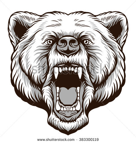 stock-vector-angry-bear-head-vector-illustration-383300119.jpg