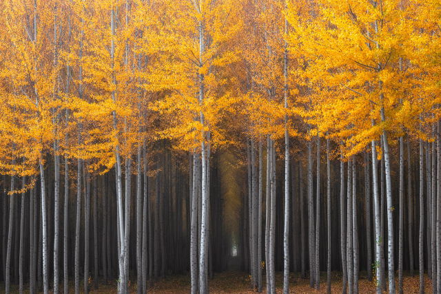 autumn_is_such_a_beautiful_season_640_03.jpg