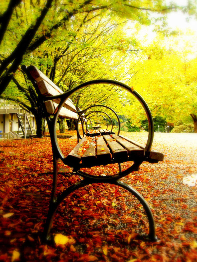 autumn_is_such_a_beautiful_season_640_high_04.jpg