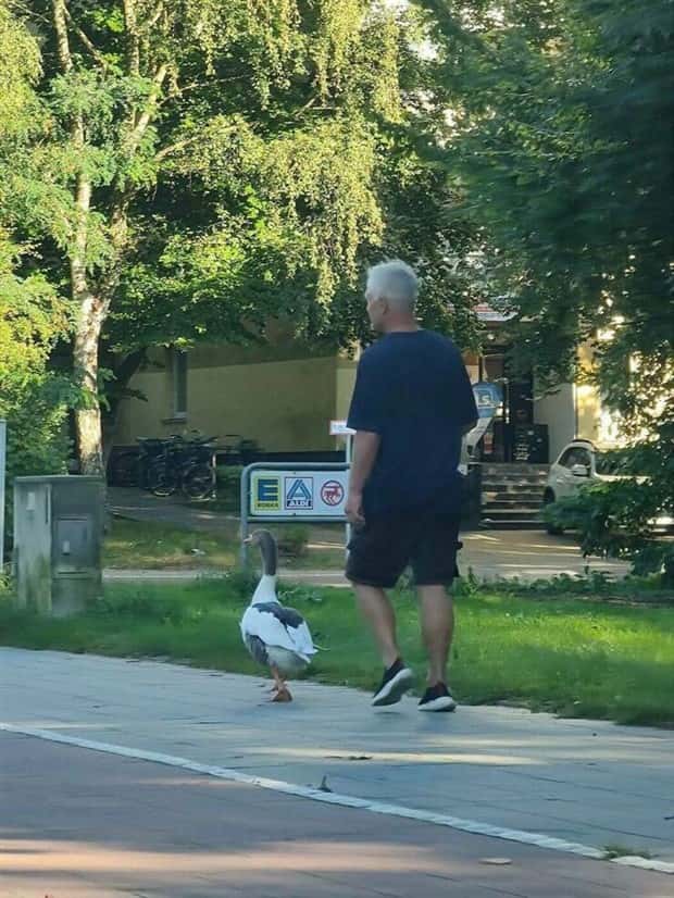 klyker-picdump-5-9-2025-37.jpg