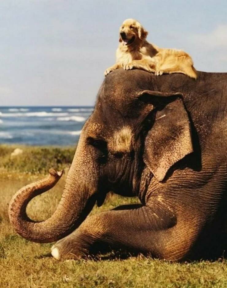daily_picdump_640_high_61.jpg