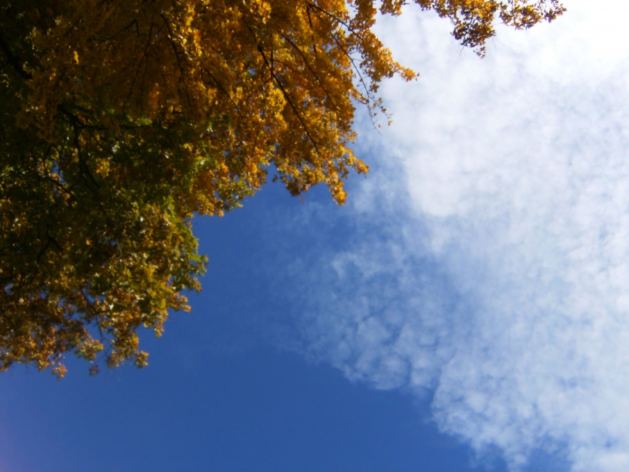 autumn-sky.jpg
