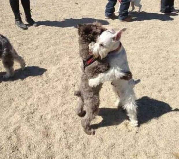 klyker-picdump-5-9-2025-27.jpg