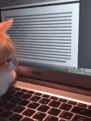 1709908377_04demgjP_W2X5uQa3ZfSY9hDp.gif