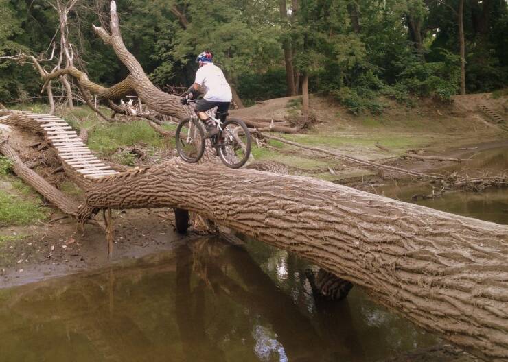 daily_picdump_4951_640_11.jpg