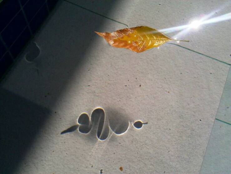 shadows_so_strange_theyll_make_you_do_a_double_take_640_18.jpg