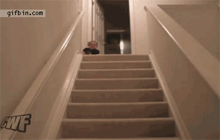 1302020965_baby-takes-the-stairs-to-get-to-his-bottle.gif
