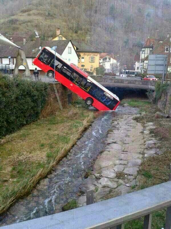 And here we see a wild bus drinking water from a river.jpg