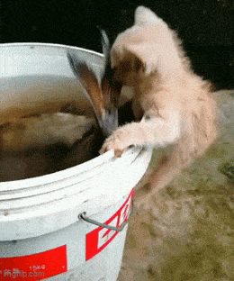 daily_gifdump_5028_15.gif