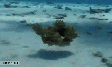 5a0d46a7_resizedScaled_740to442.gif
