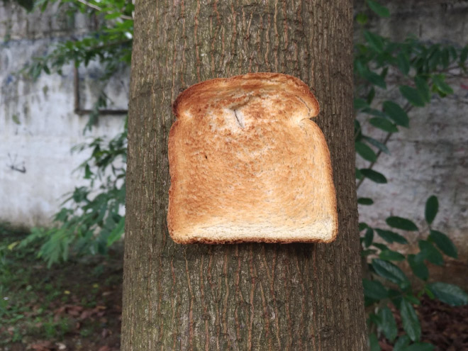 stapled-bread6.jpg