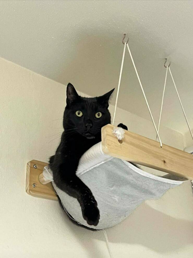 morning_picdump_4182_640_high_30.jpg