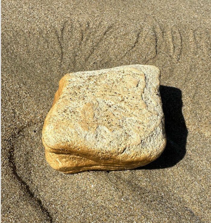 strange_things_the_ocean_unexpectedly_revealed_640_high_09.jpg