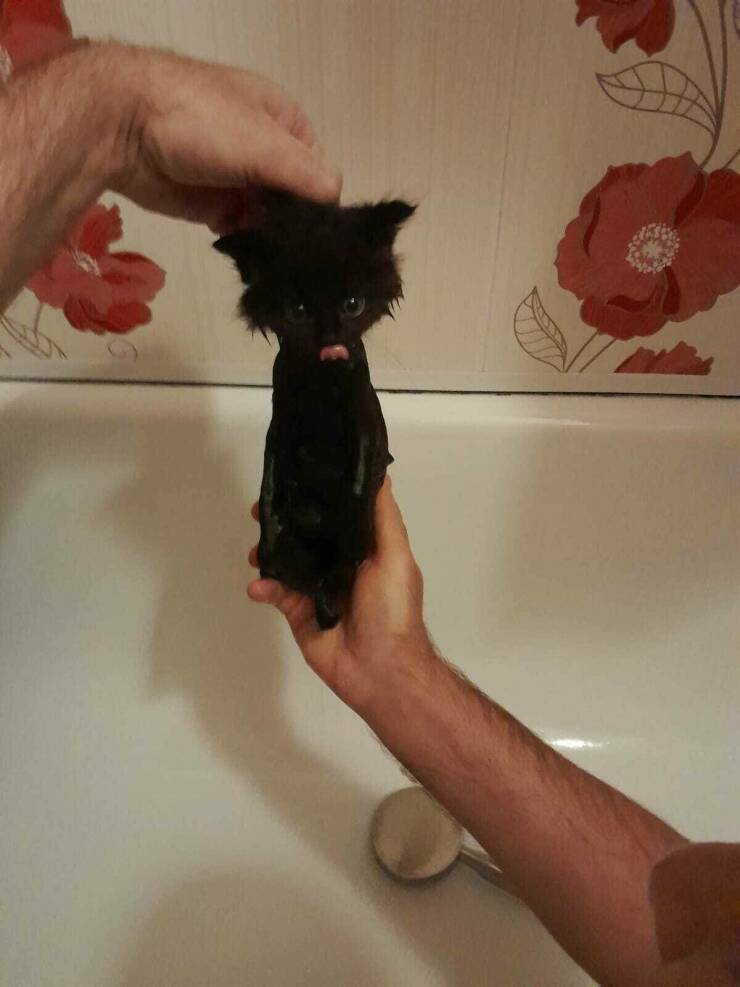 morning_picdump_4182_640_high_32.jpg