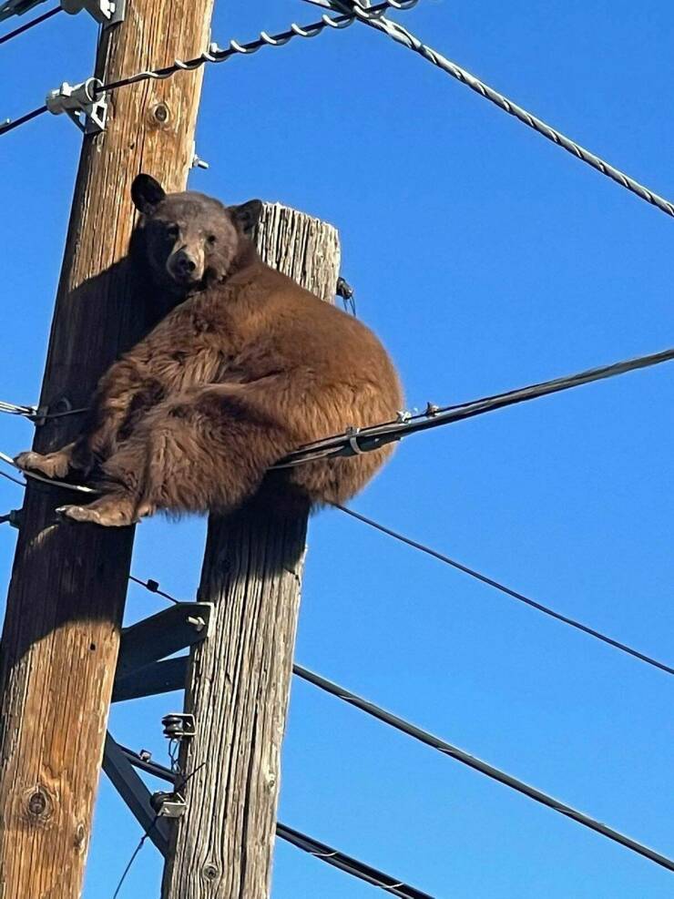 morning_picdump_4199_640_high_05.jpg