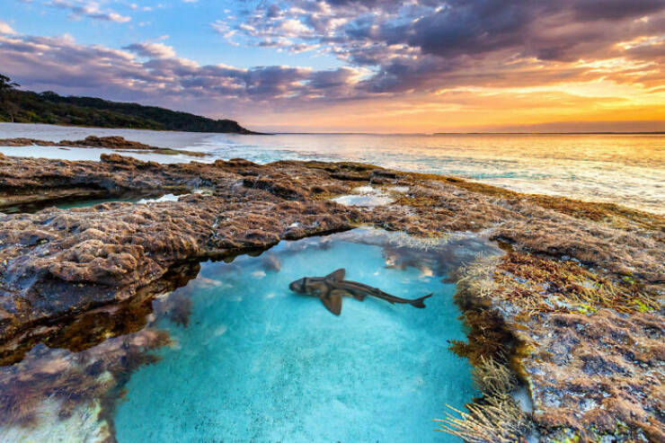 the_magical_beauty_of_the_ocean_640_04.jpg