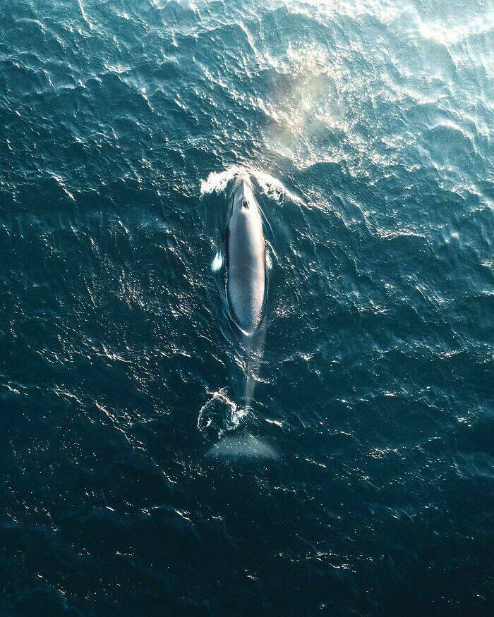 breathtaking_drone_shots_you_wont_believe_are_real_640_high_01.jpg