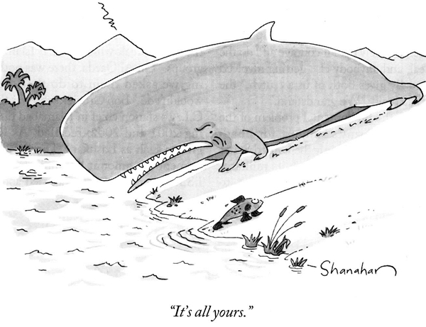 cartoon.whale.jpg