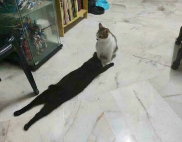 mindbending_photos_that_will_make_you_look_twice_640_02.jpg
