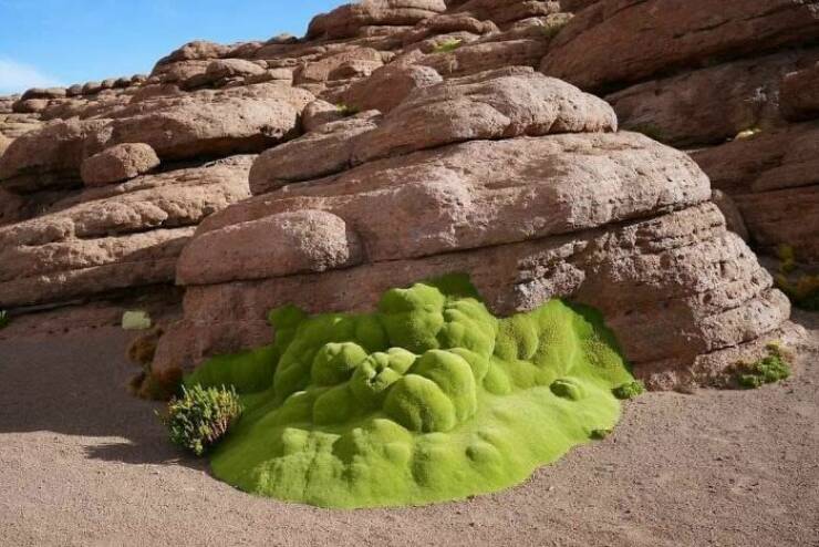 hidden_wonders_of_nature_that_feel_almost_too_magical_to_be_real_640_12.jpg