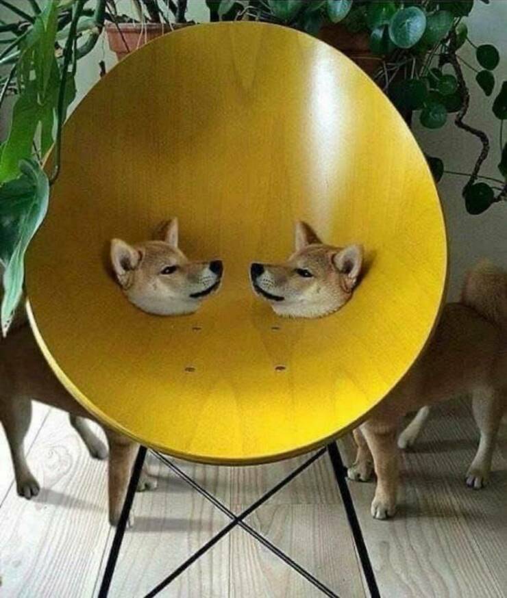 daily_picdump_4962_640_high_59.jpg
