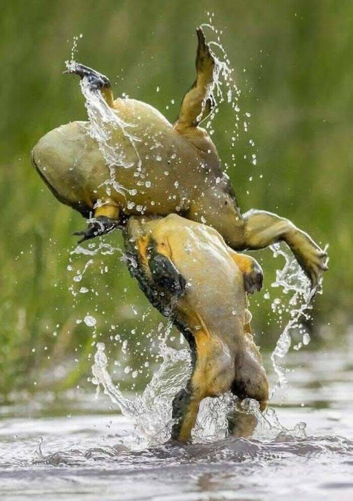 hidden_wonders_of_nature_that_feel_almost_too_magical_to_be_real_640_high_27.jpg