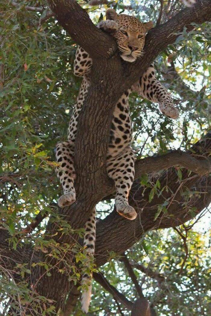hidden_wonders_of_nature_that_feel_almost_too_magical_to_be_real_640_high_45.jpg