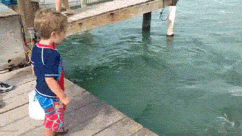 kids_do_the_dumbest_things_12.gif