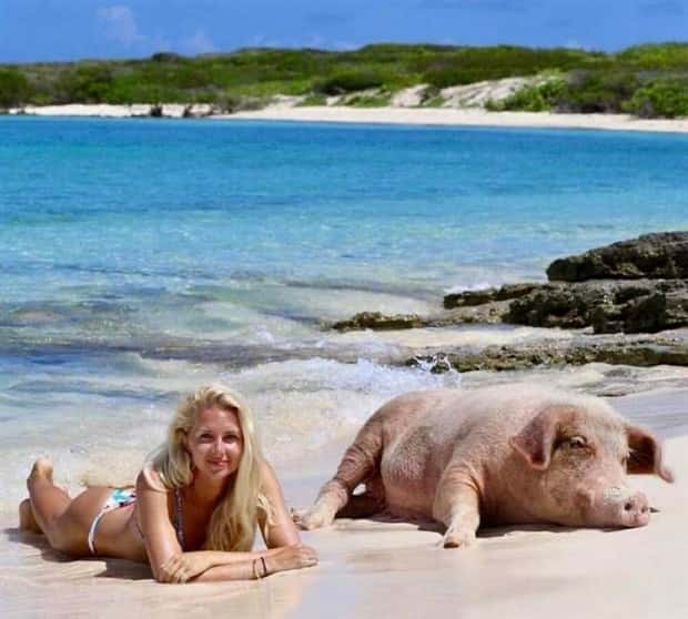klyker-picdump-6-24-2025-12.jpg