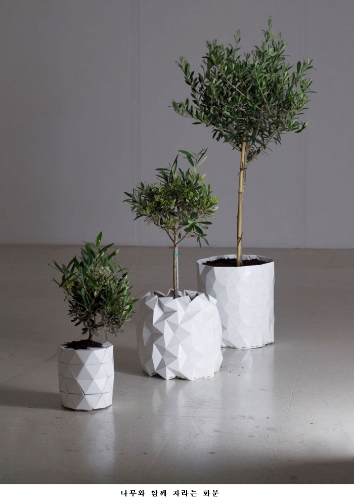 1436499812_origami-pot-plant-grows-studio-ayaskan-2.jpg