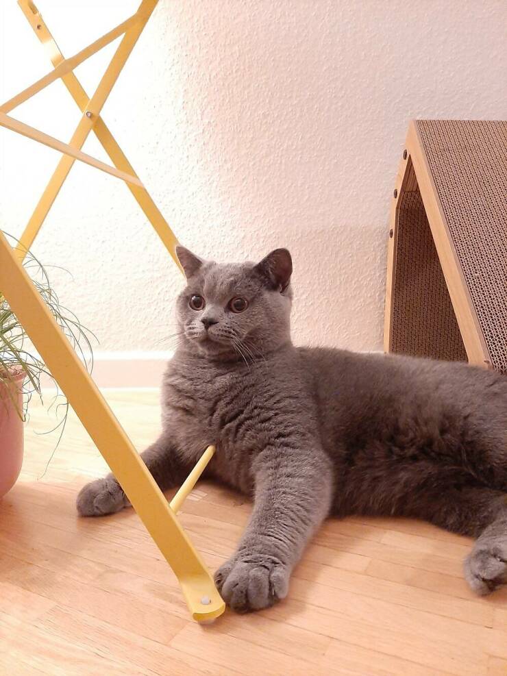 morning_picdump_4118_640_high_08.jpg