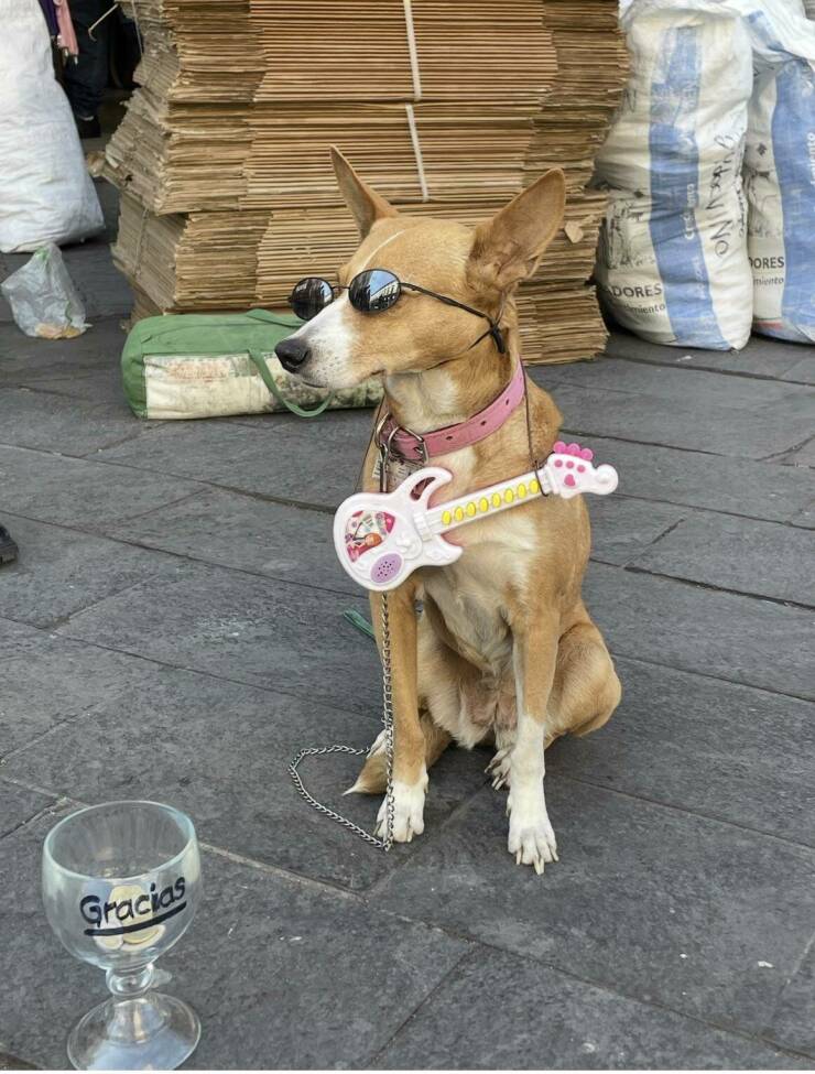 daily_picdump_4975_640_high_05.jpg
