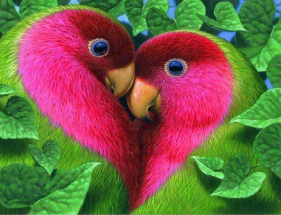 l-love-birds.jpg