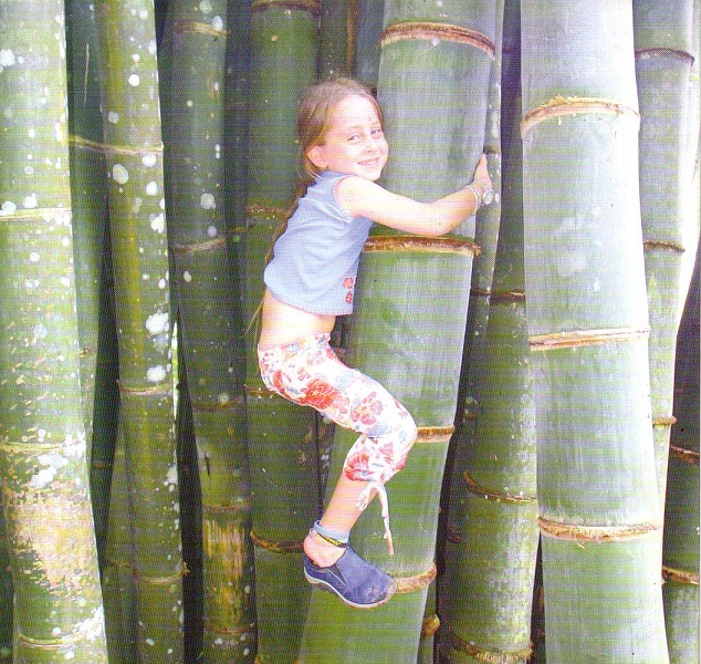 gigantis-bamboo.jpg