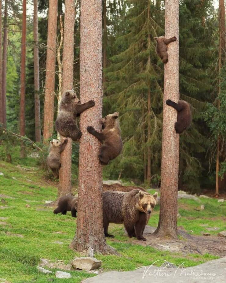 morning_picdump_4195_640_high_34.jpg