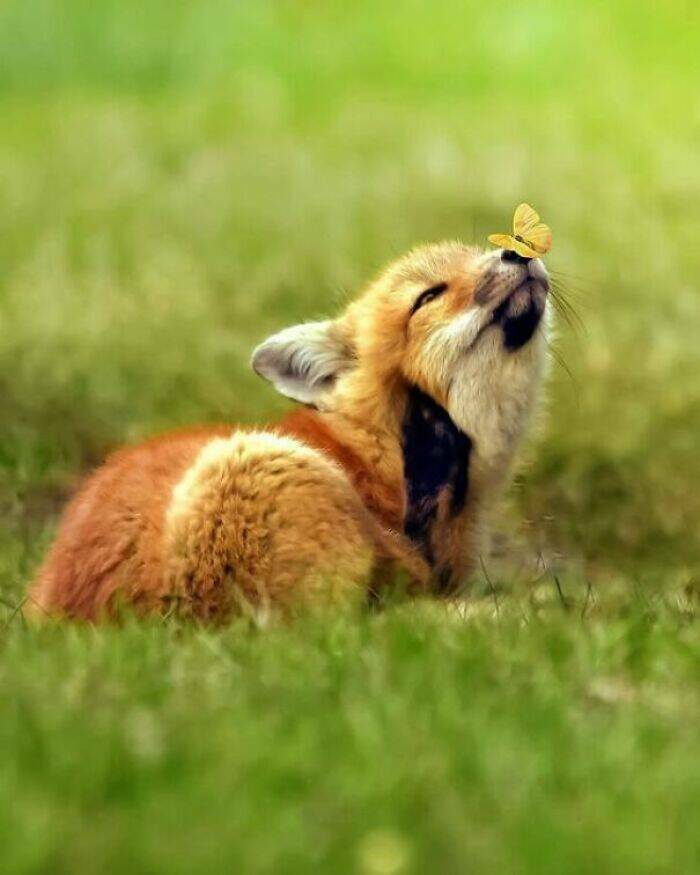 adorable_pics_that_feel_like_a_hug_for_your_soul_640_high_22.jpg