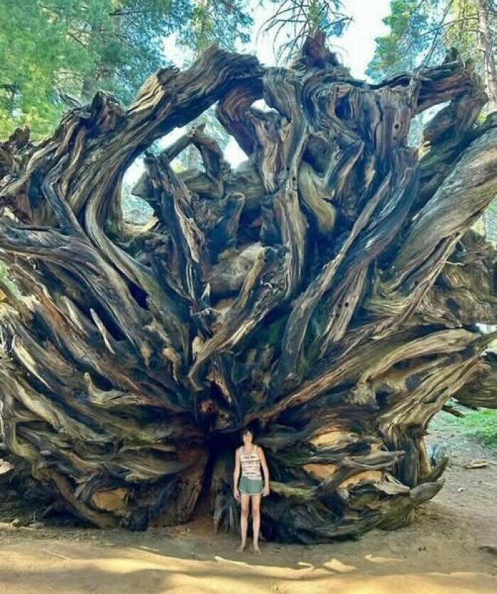 hidden_wonders_of_nature_that_feel_almost_too_magical_to_be_real_640_high_23.jpg