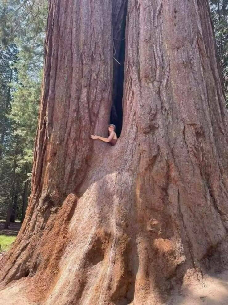 daily_picdump_4961_640_high_38.jpg