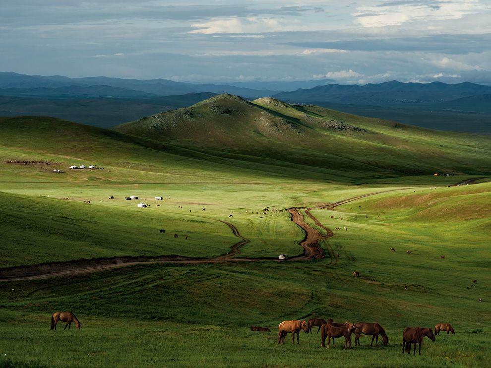 horses-mongolia-leong_49122_990x742.jpg