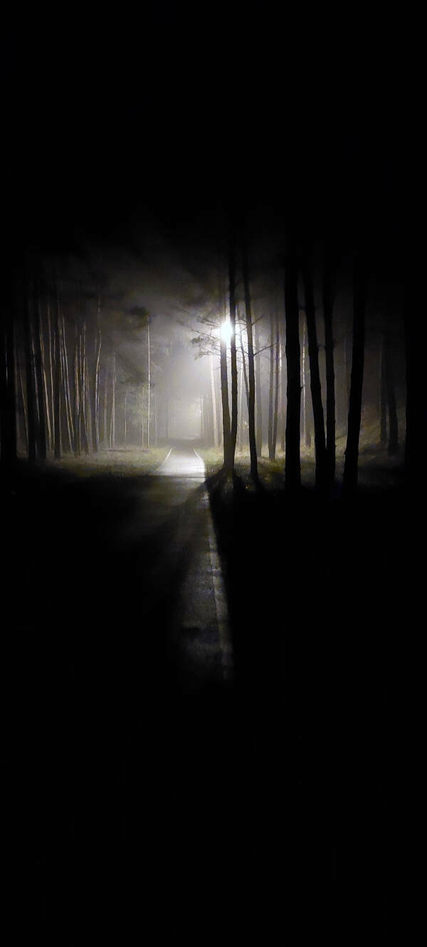 eerie_photos_that_are_straight_out_of_a_nightmare_640_high_06.jpg