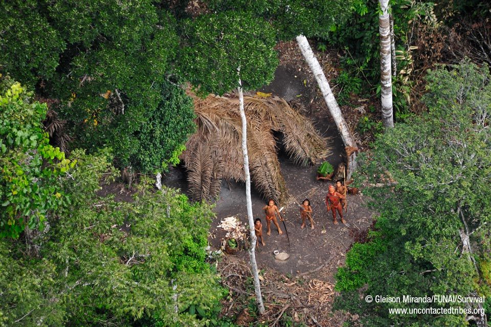 uncontacted-tribes-new-pictures-huts_31965_600x450.jpg