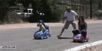 the_funniest_gifs_to_make_your_day_16.gif