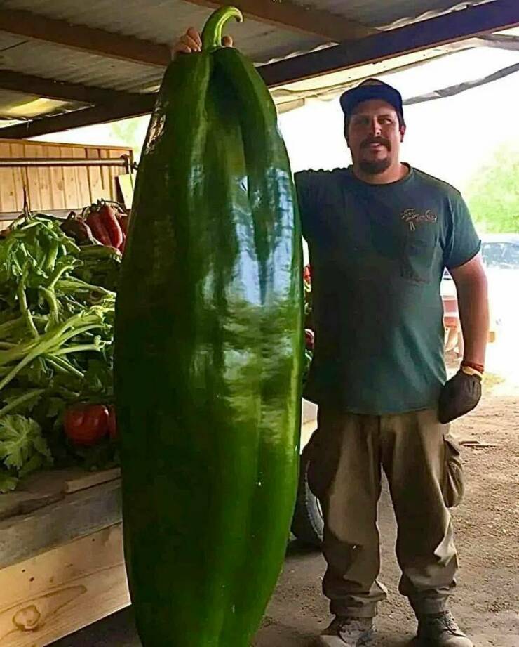 daily_picdump_4974_640_high_39.jpg