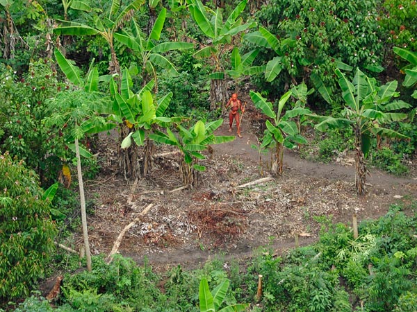 uncontacted-tribes-new-pictures-single_31966_600x450.jpg