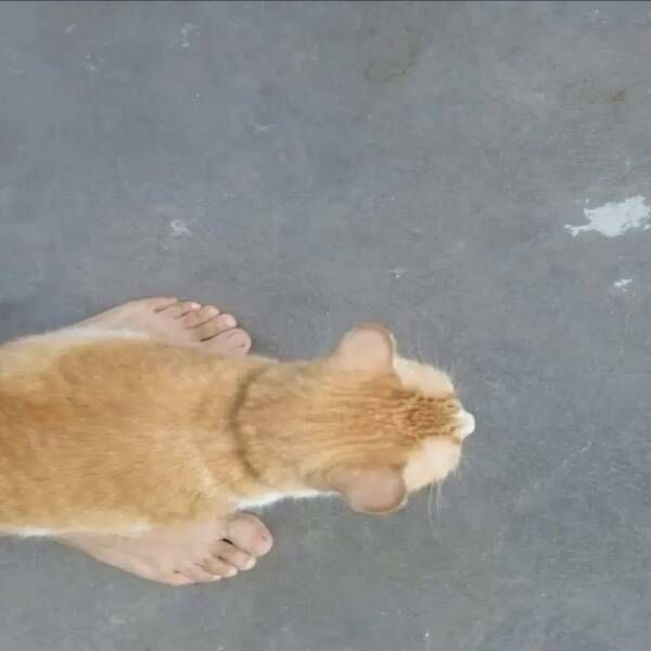 morning_picdump_4211_640_23.jpg
