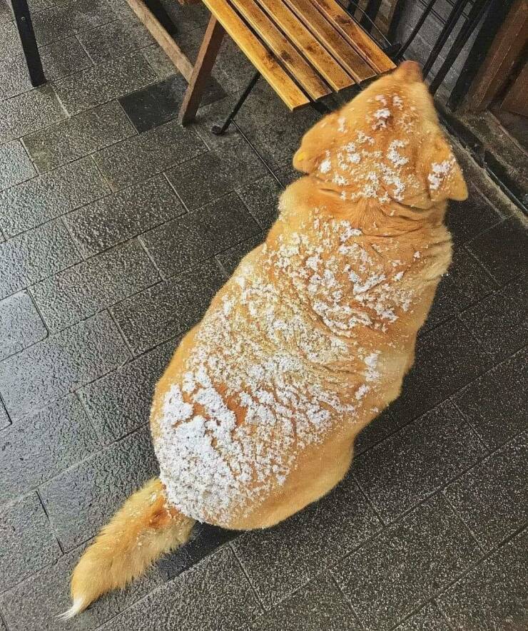 morning_picdump_4097_640_high_02.jpg