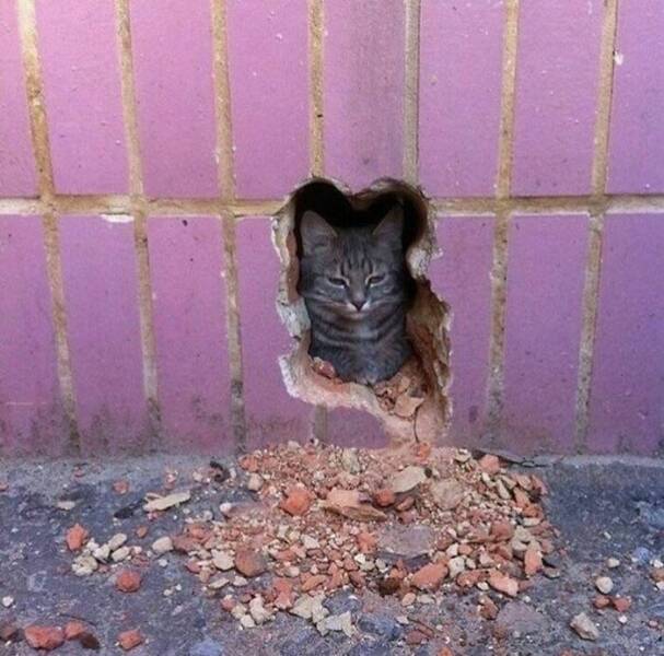 unsettling_photos_that_will_leave_you_feeling_uneasy_640_18.jpg