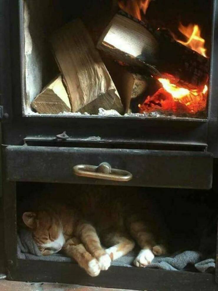 morning_picdump_4081_640_high_33.jpg