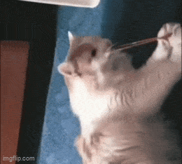 daily_gifdump_4990_10.gif