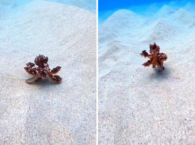 stunning_ocean_photos_that_reveal_its_deepest_mysteries_640_18.jpg